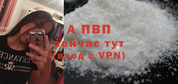 молекула духа Алексин