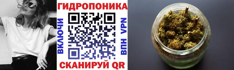 Бошки Шишки ГИДРОПОН Нелидово